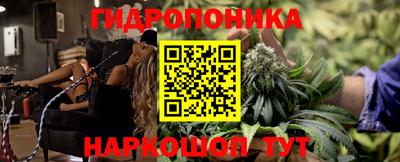 дмт Краснодар