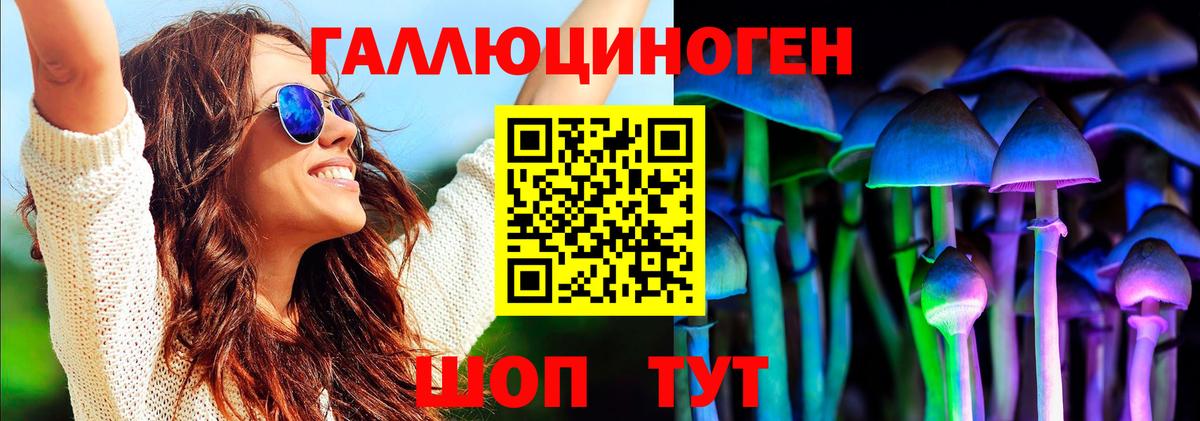 Галлюциногенные грибы GOLDEN TEACHER Касимов