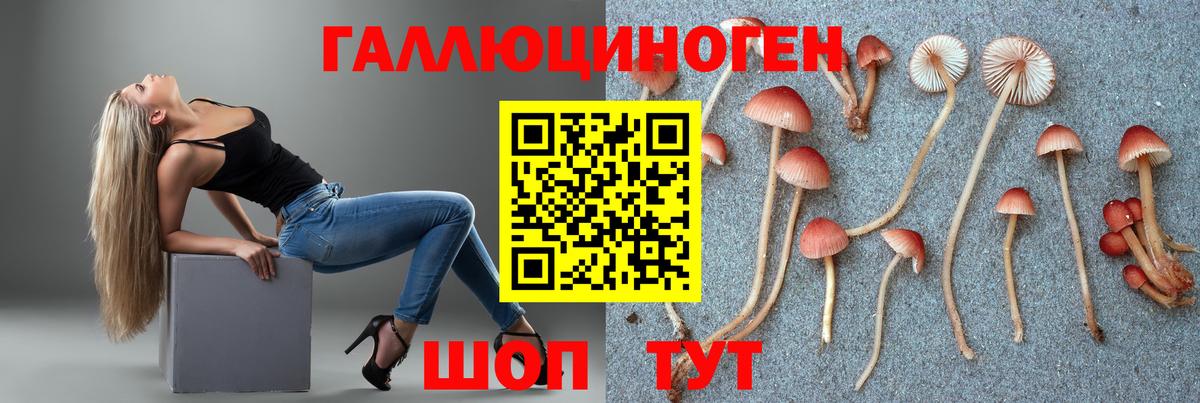 Галлюциногенные грибы Psilocybe  Вход с VPN  Галлюциногенные грибы мухоморы  Касимов 